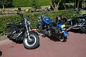 rally 2009 384