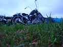 DSC01461