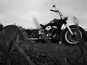 DSC01465