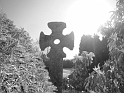 48)Bretagne (2)