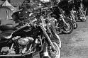 035_modif
